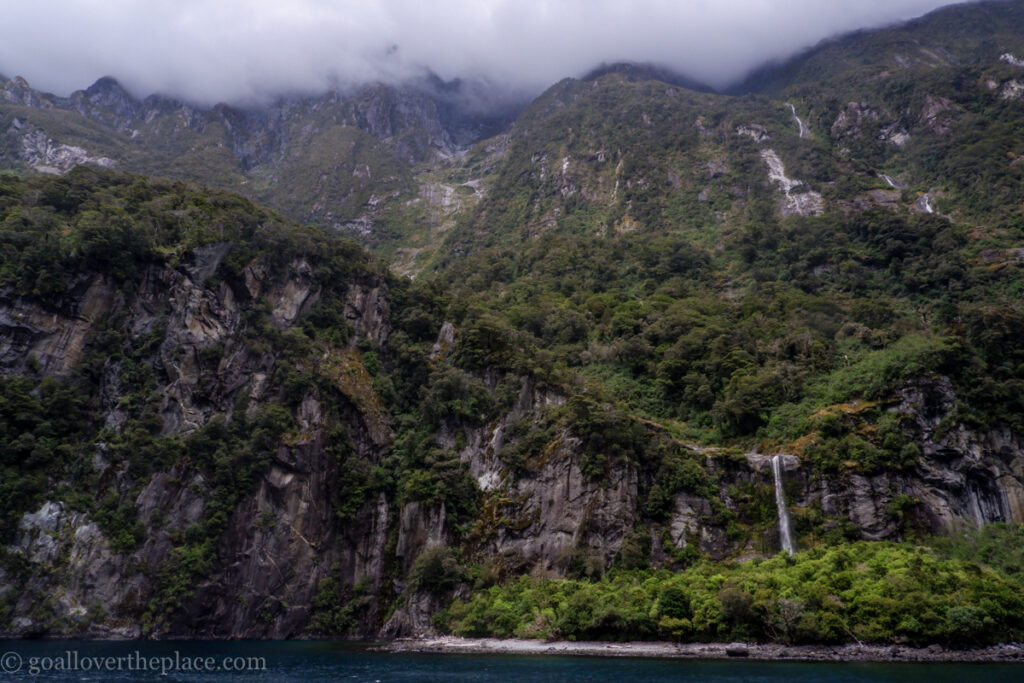 a waterfall cascades down a green cliff in New Zealand